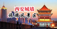 男欢女爱日逼视频中国陕西-西安城墙旅游风景区